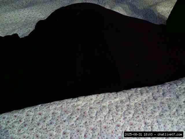 Full privates for 90 tokens, Privates for 90 tokens, White babes, Trimmed w..., New Babes 14