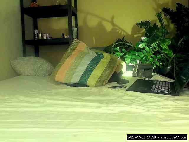 Group chat for 40 tokens, Full privates for 30 59 tokens, Privates for 30 5..., American Teens 0