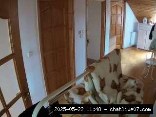 Hd, Voyeur, Sexwebcam, Pov, No drinking, Julmodels house, Hidden cam, Hidde..., queer 9