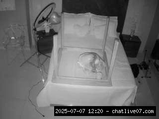 Hd, Young adult, Voyeur, Teen 18, Sexwebcam, Pov, No smoking, No drinking, ..., young adult 1