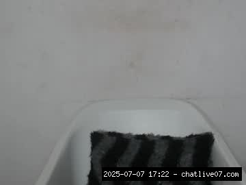 Dirty, Sph, Nasty, Findom, Deepthroat..., findom 15