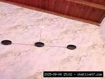 New, Live..., blackbeauty 9